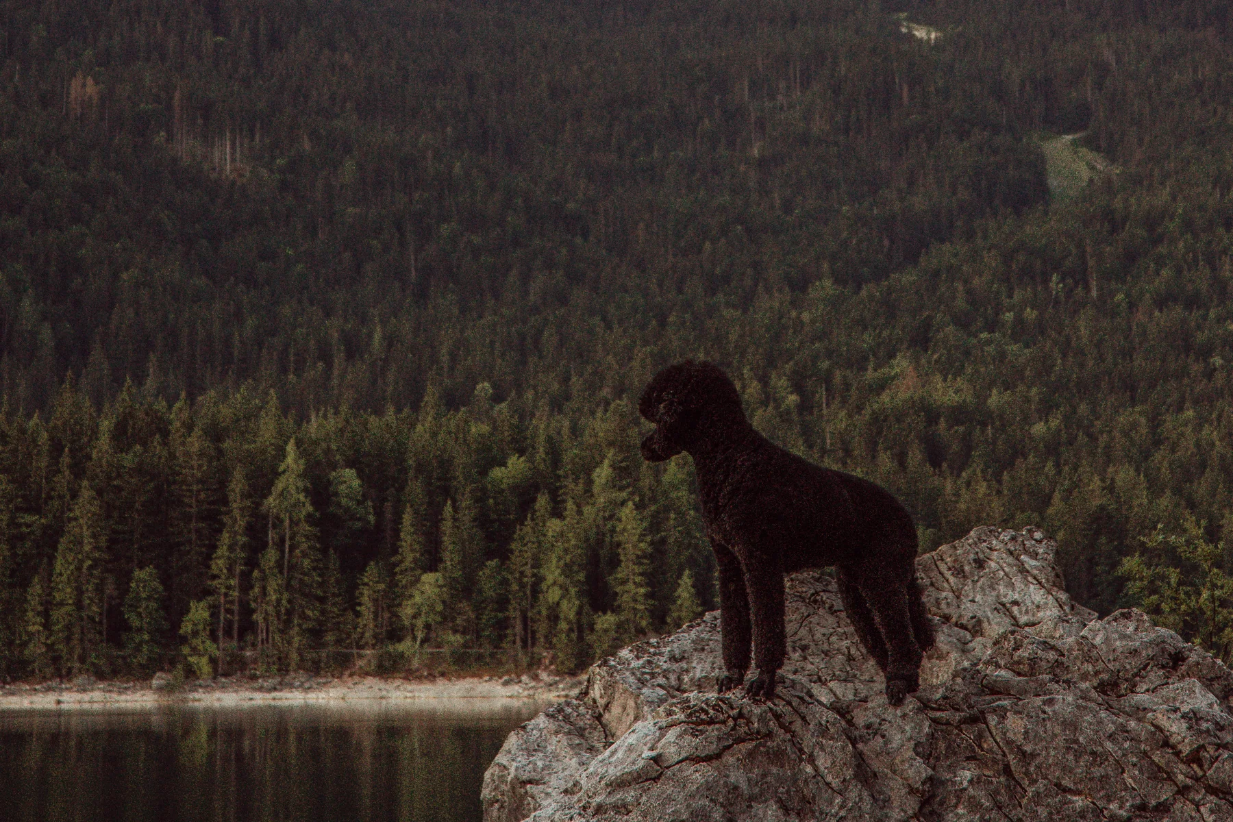 Tiffany steht als Silhouette auf einem Felsen über dem Eibsee
