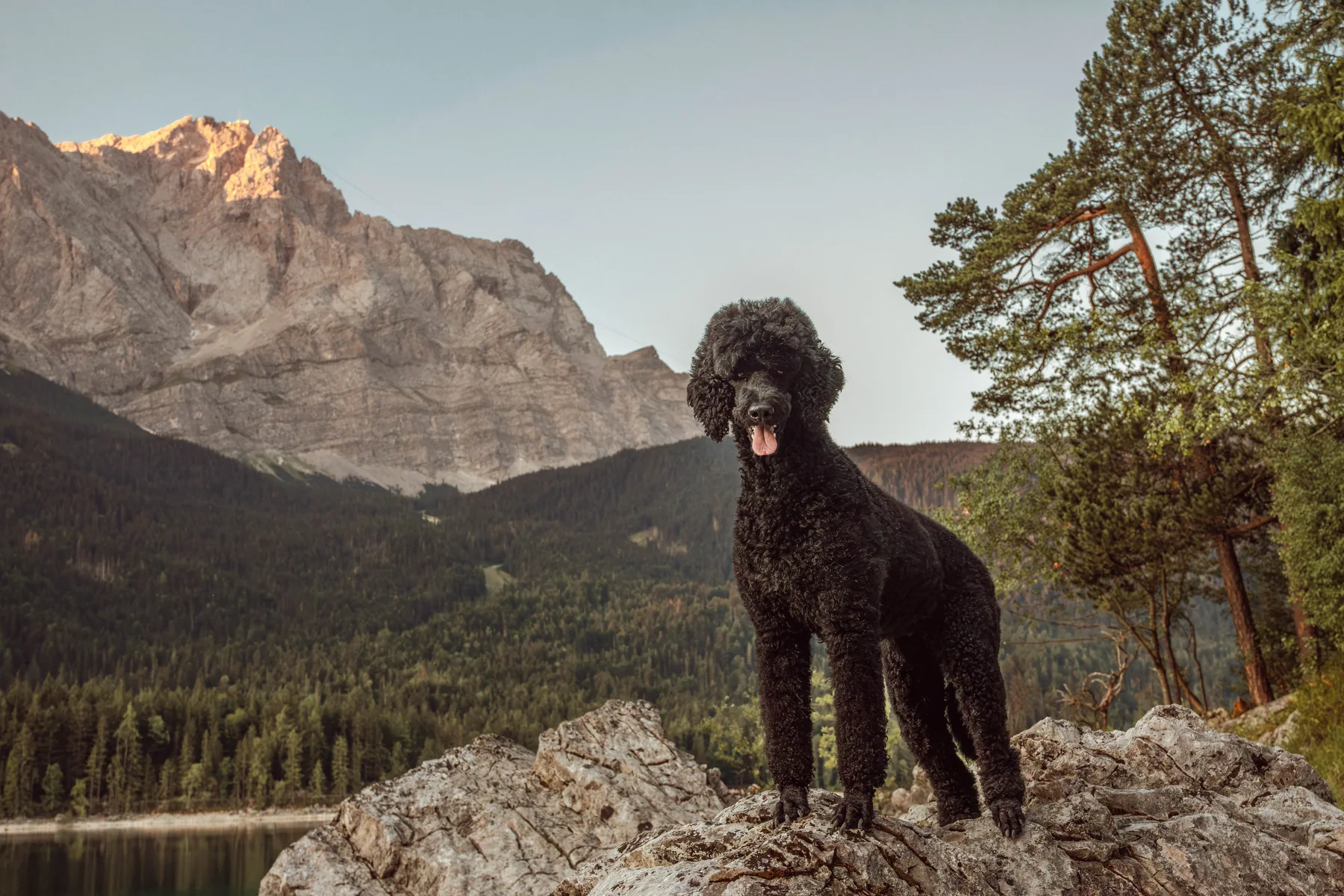 Tiffany steht auf einem Felsen mit der Zugspitze im Hintergrund