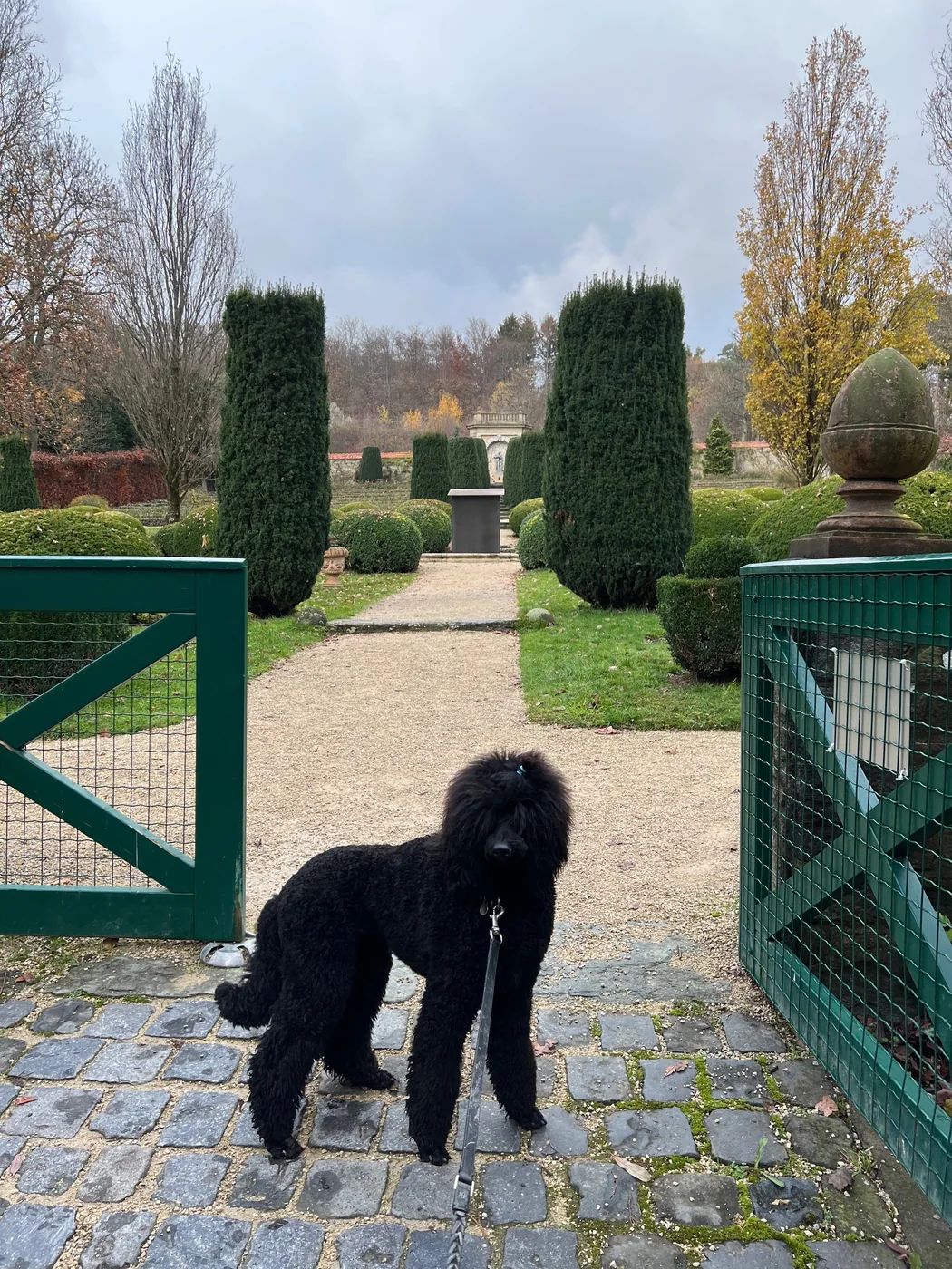 Tiffany steht am Tor eines Schlossgartens und schaut zurück