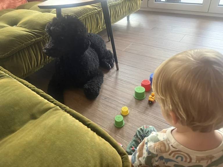 Tiffany liegt im Wohnzimmer neben dem Sofa, unser Sohn spielt daneben