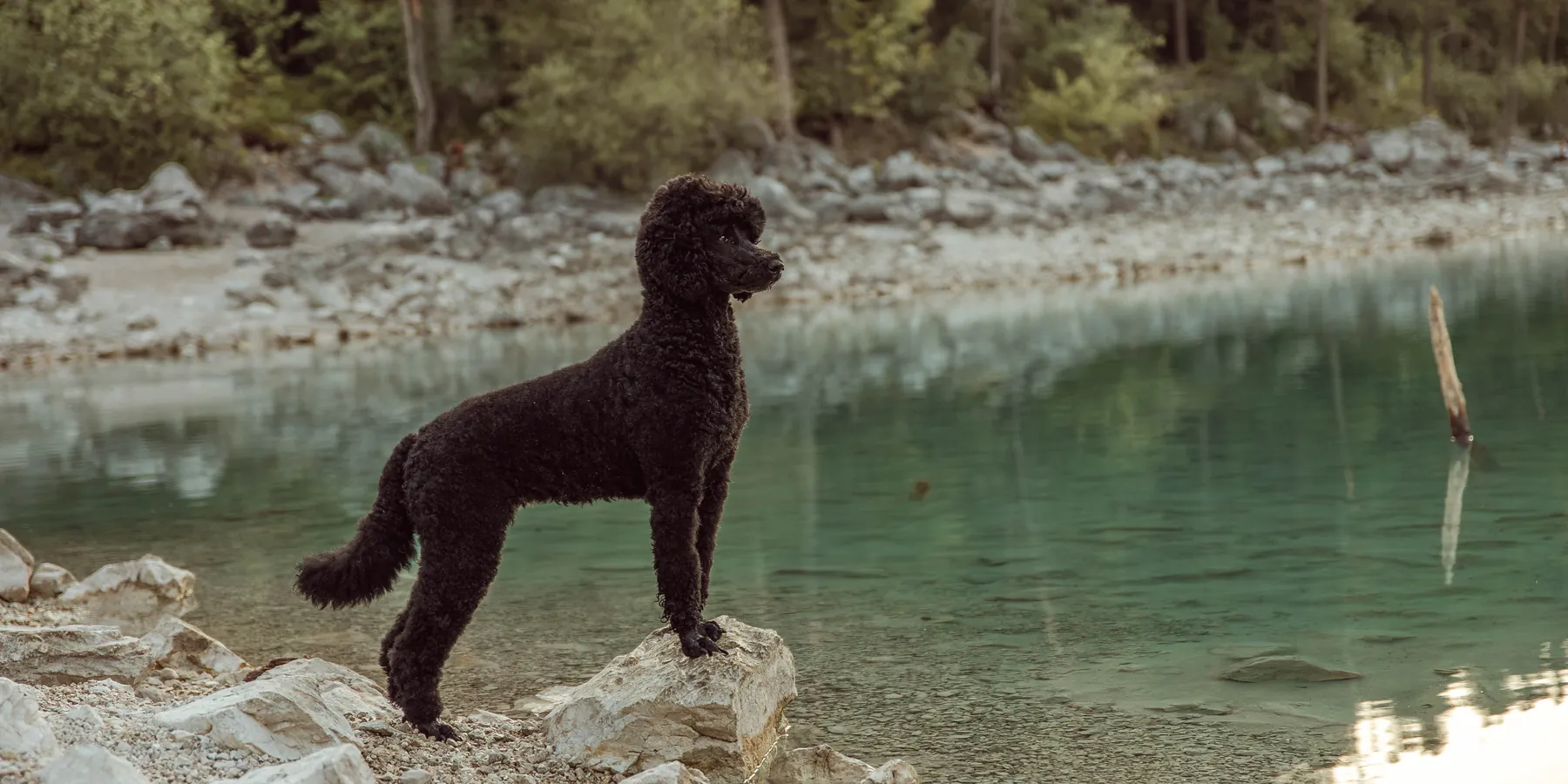 Tiffany steht am Ufer des Eibsees