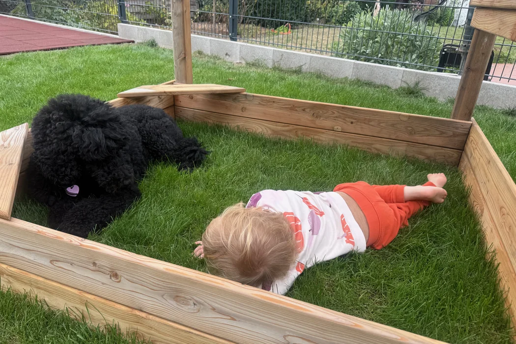 Unser Sohn liegt im Gras neben Tiffany im umzäunten Welpenauslauf