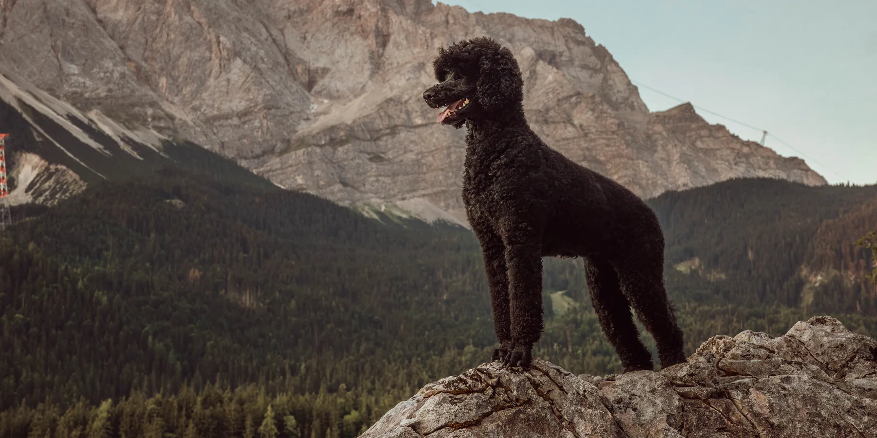 Tiffany steht auf einem Felsen vor der Zugspitze